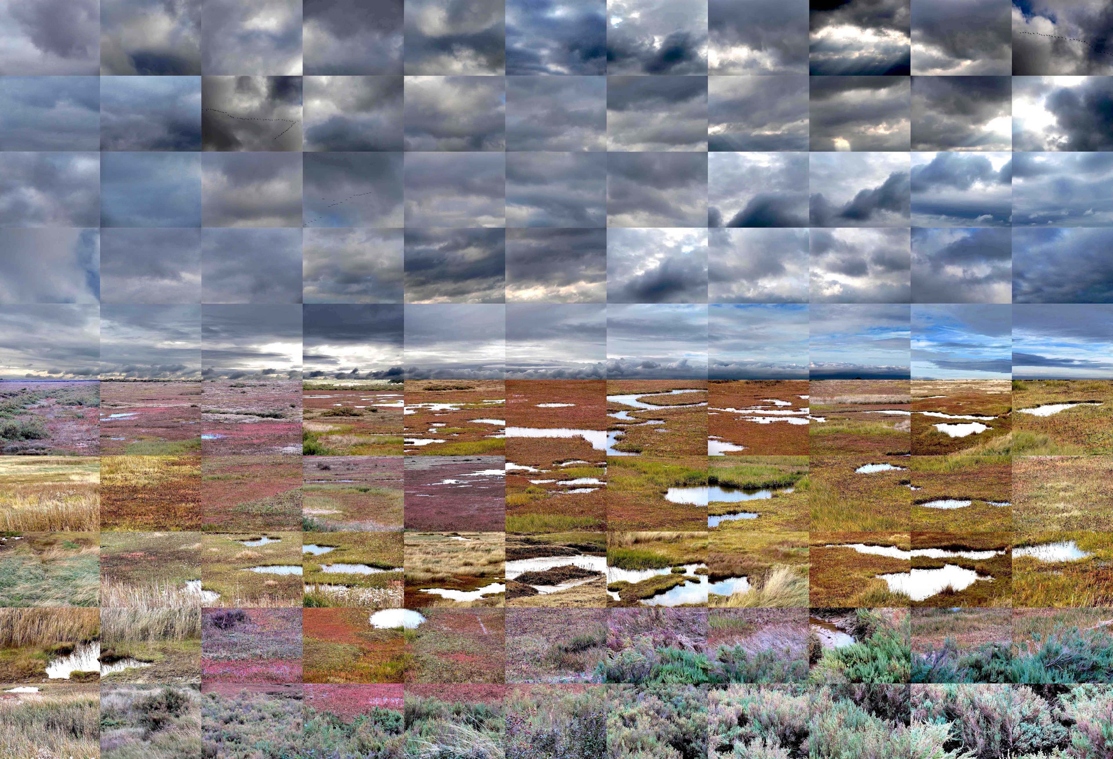 Still Films and Motion Pictures work 32