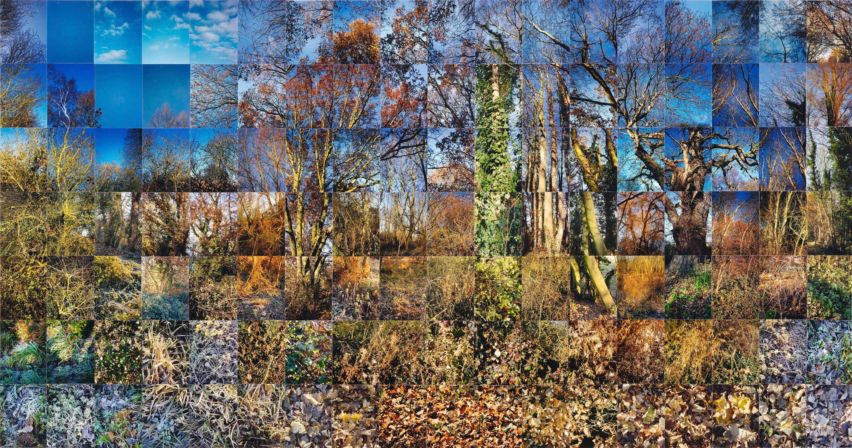 Still Films and Motion Pictures work 20