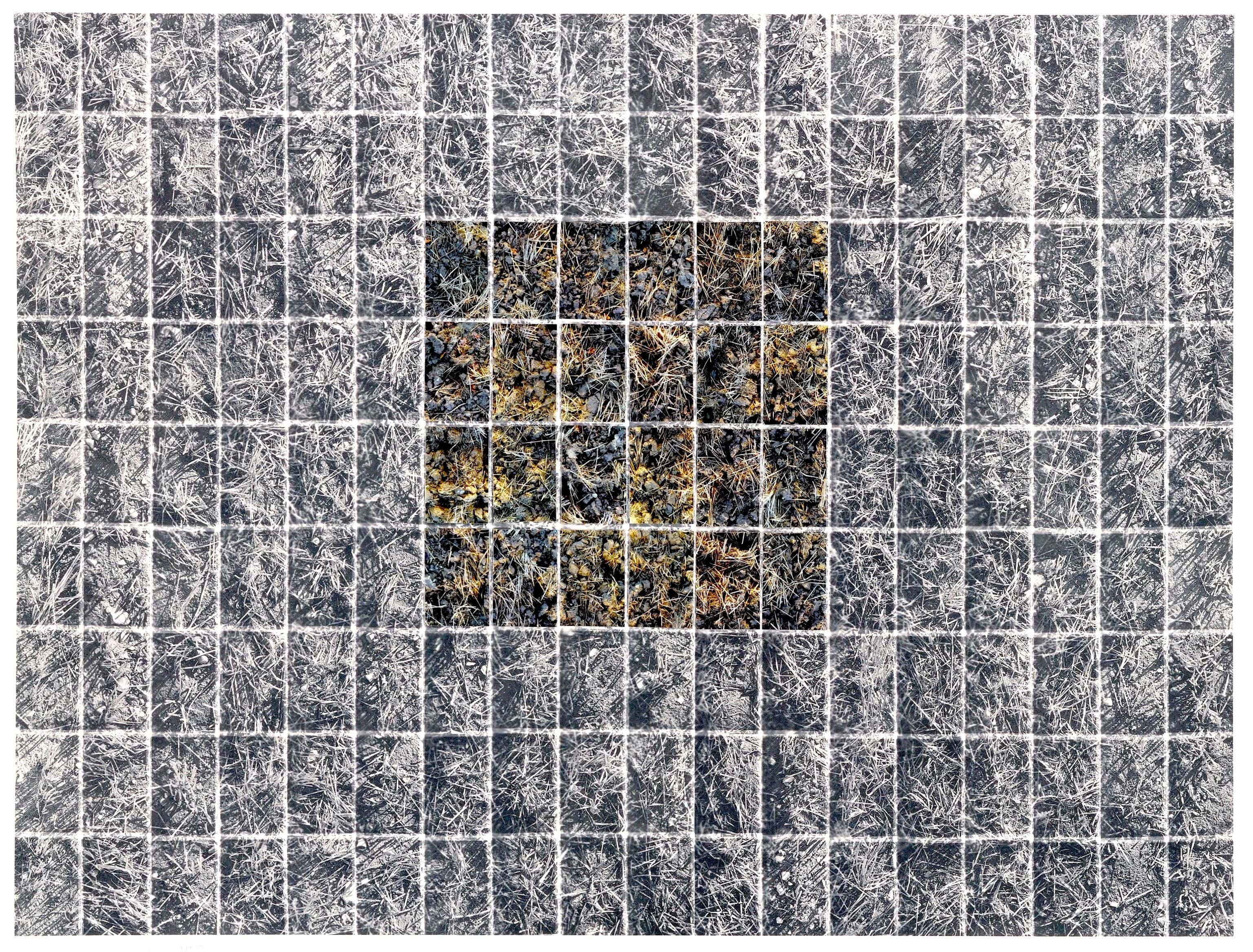 No Horizons; Down To Earth work 3