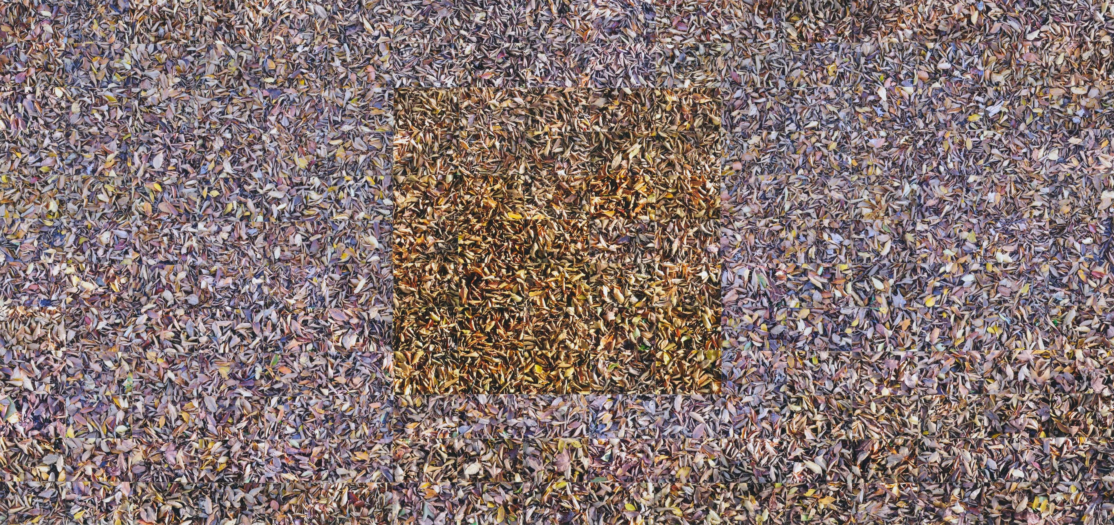 No Horizons; Down To Earth work 15