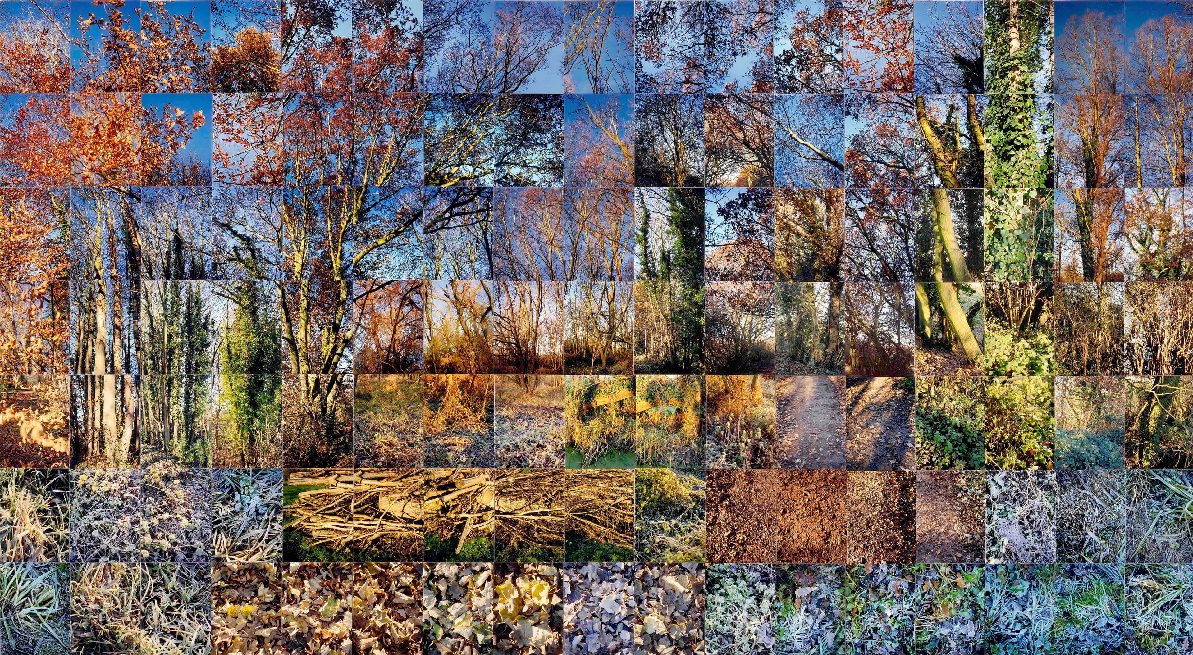 Still Films and Motion Pictures work 19