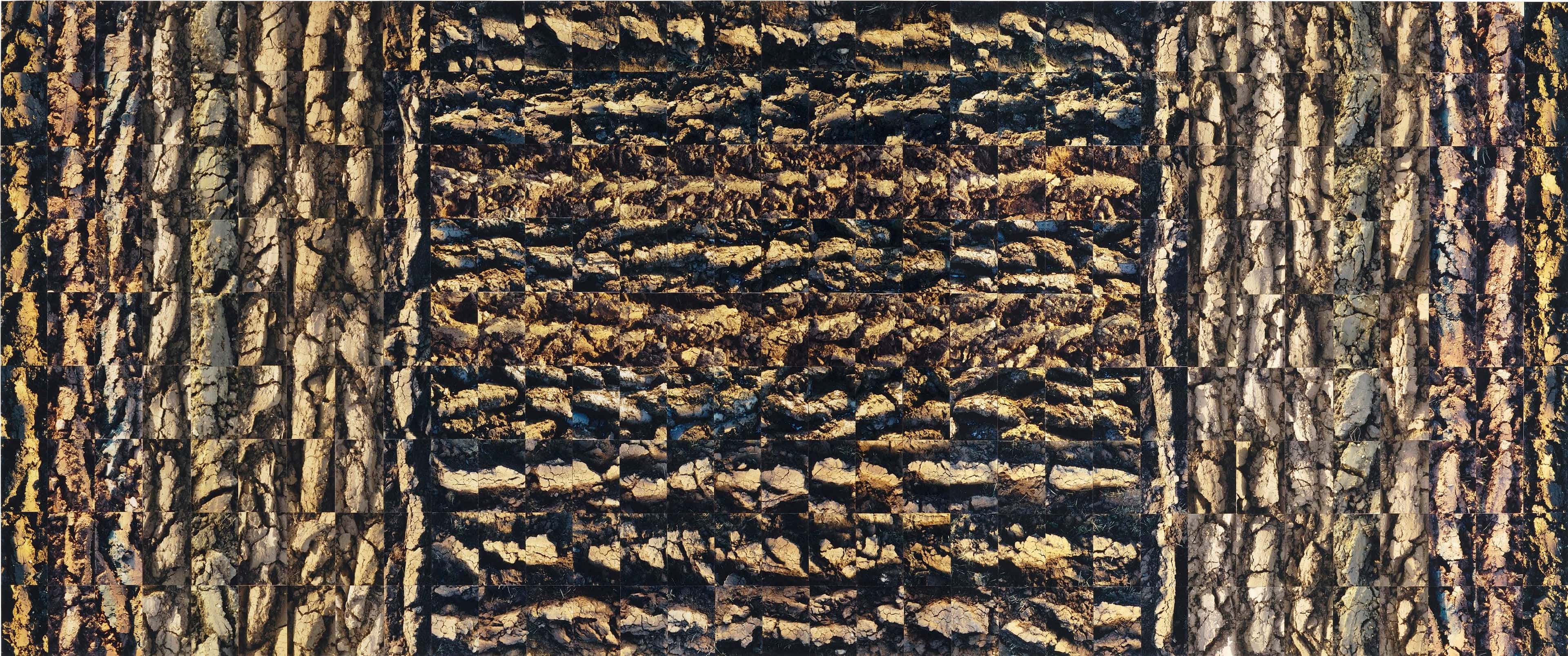 No Horizons; Down To Earth work 12