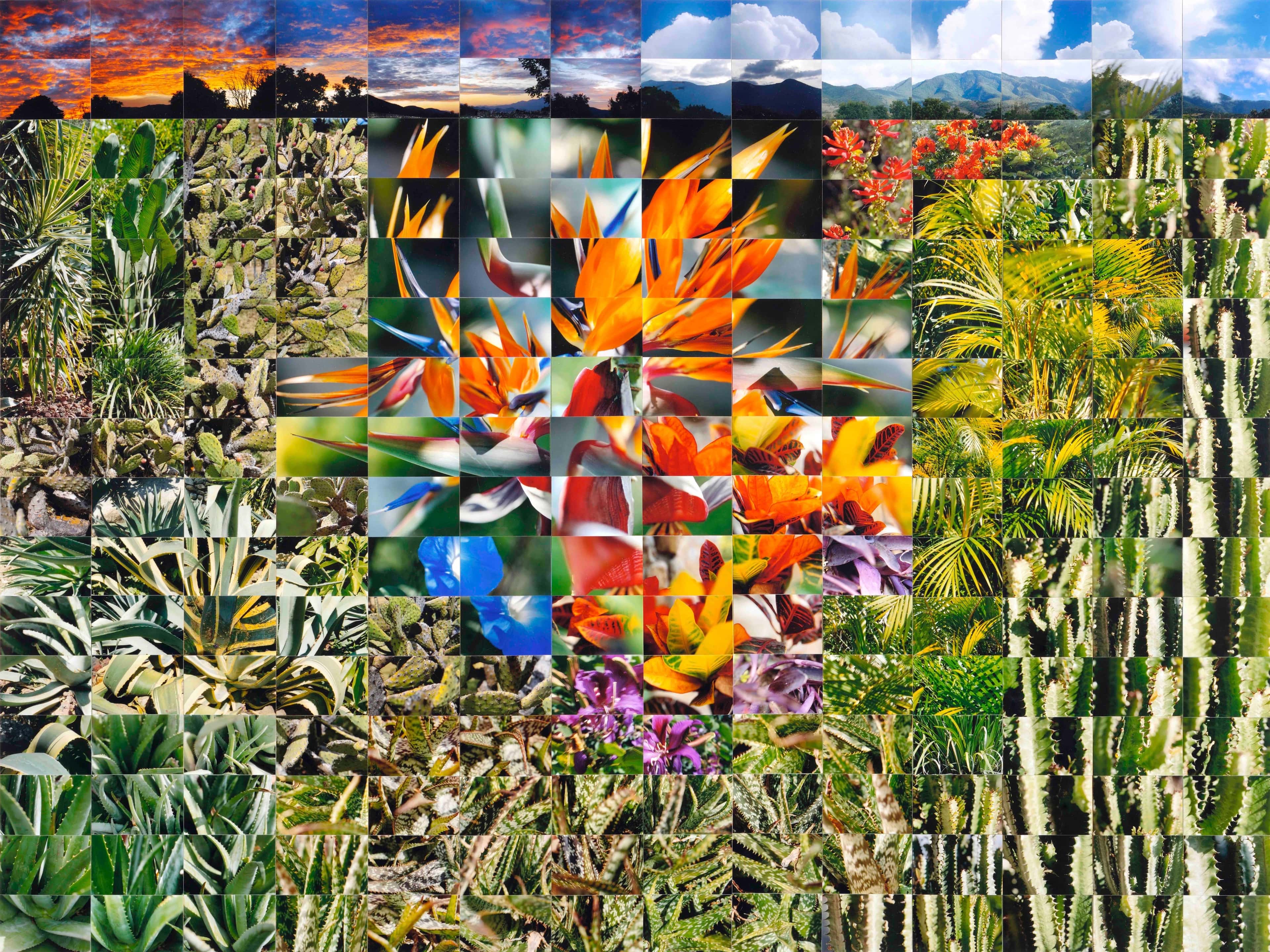 Still Films and Motion Pictures work 24