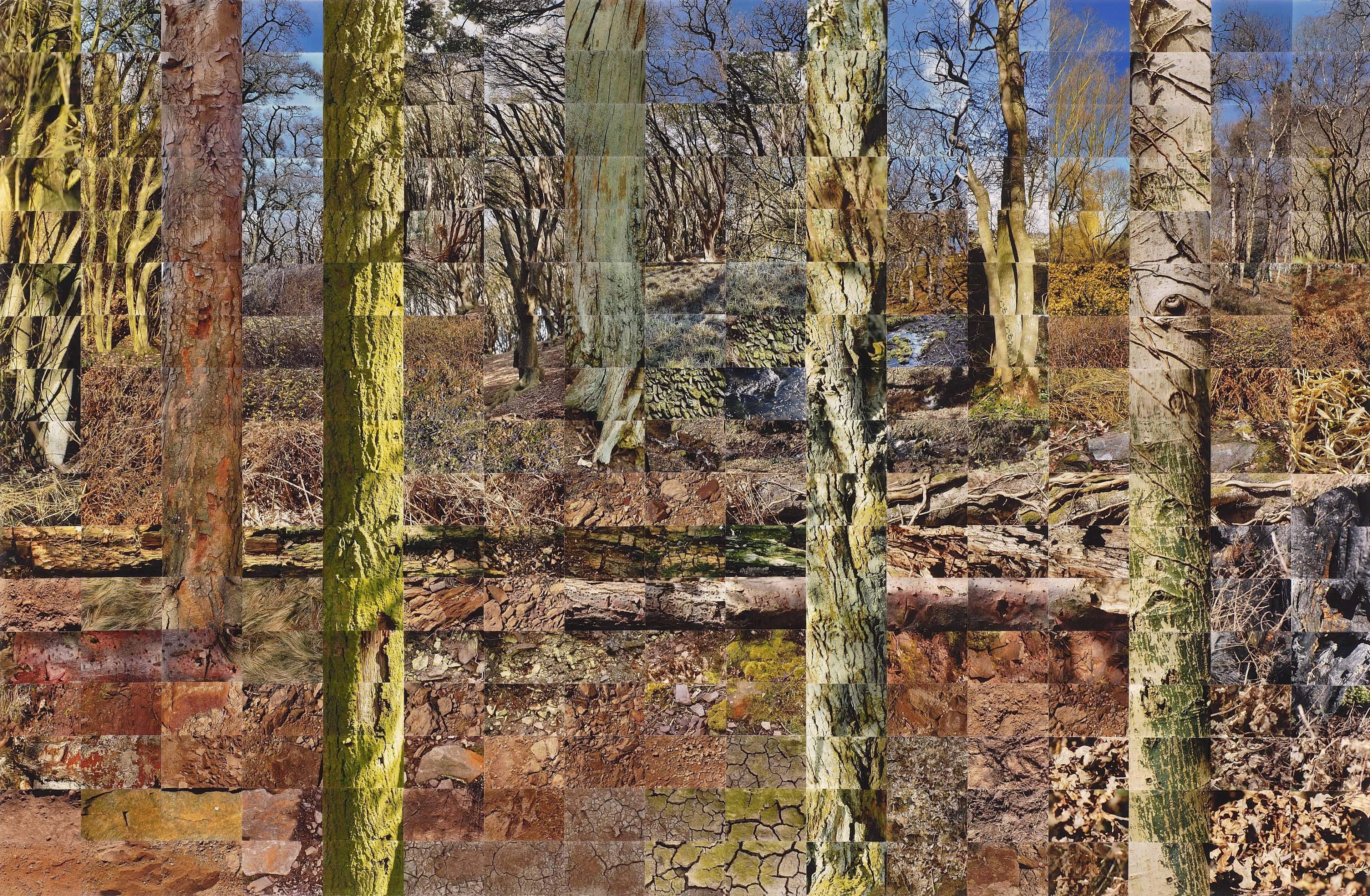 Still Films and Motion Pictures work 18