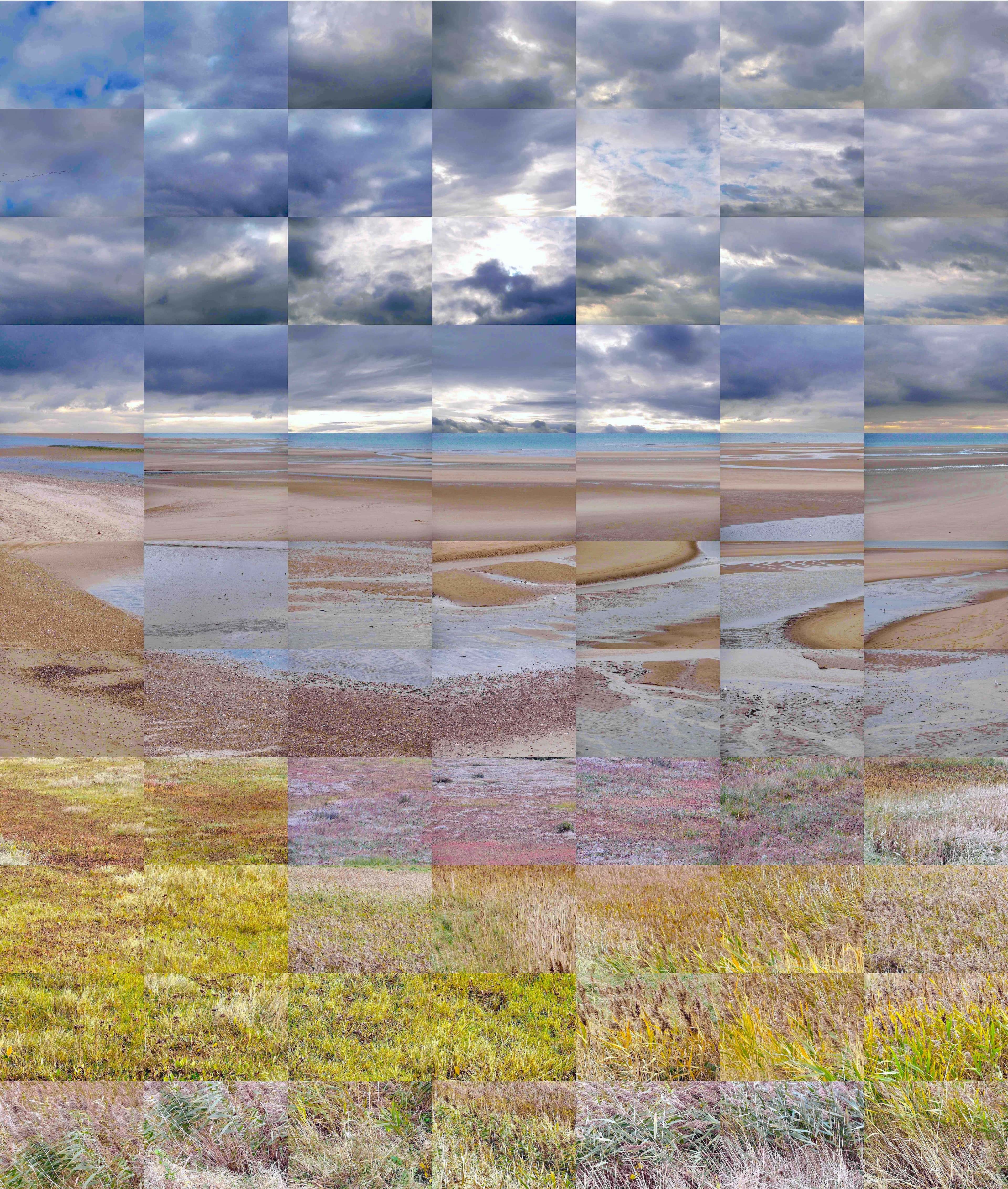 Still Films and Motion Pictures work 33