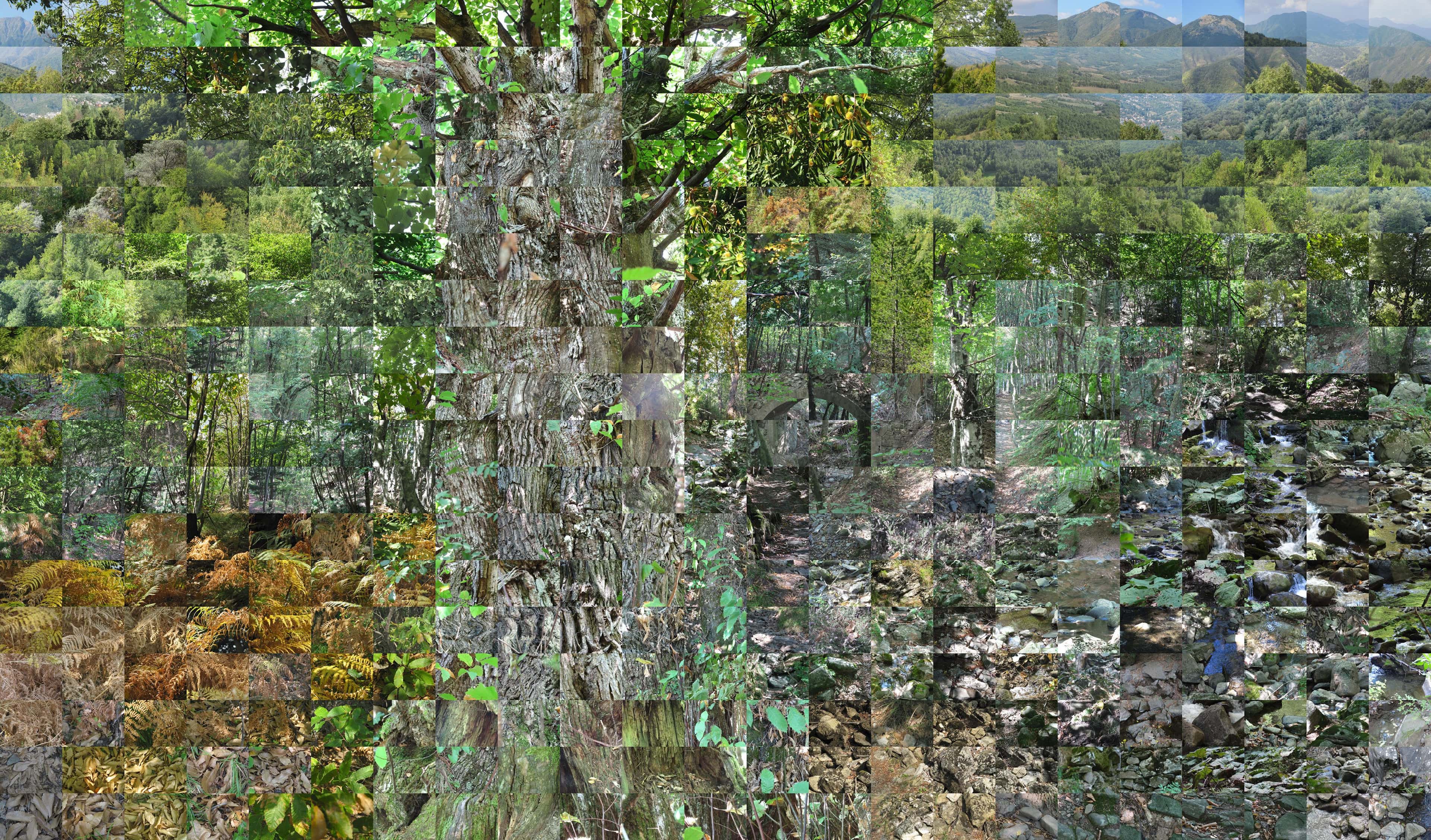 Still Films and Motion Pictures work 29