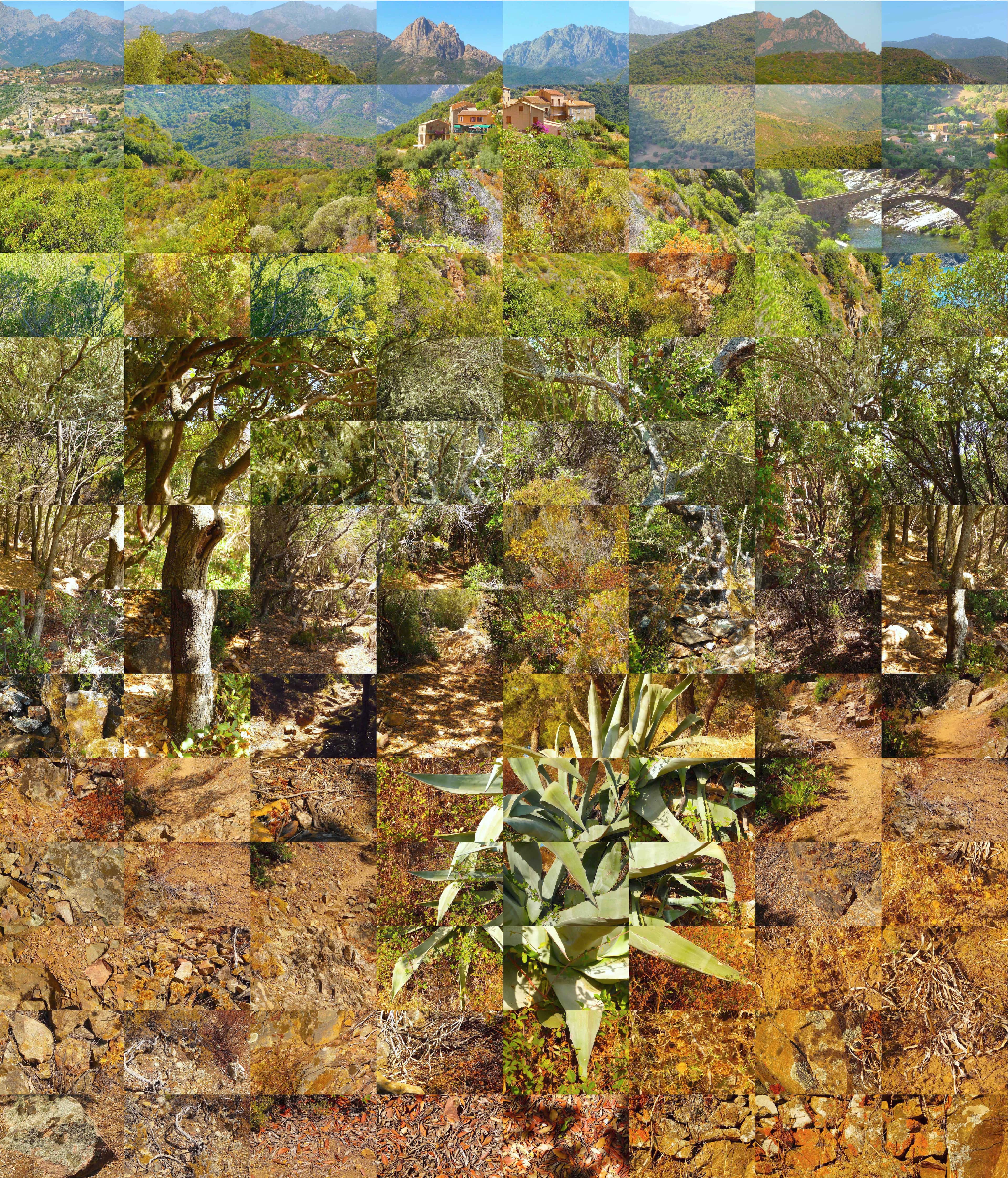 Still Films and Motion Pictures work 25