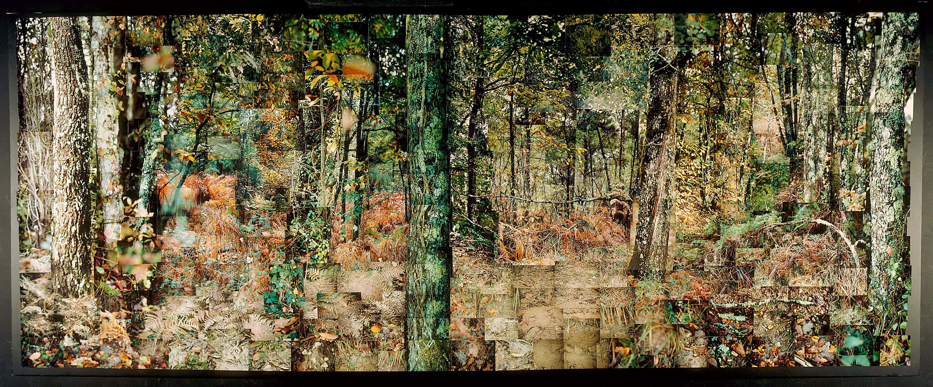 Still Films and Motion Pictures work 15