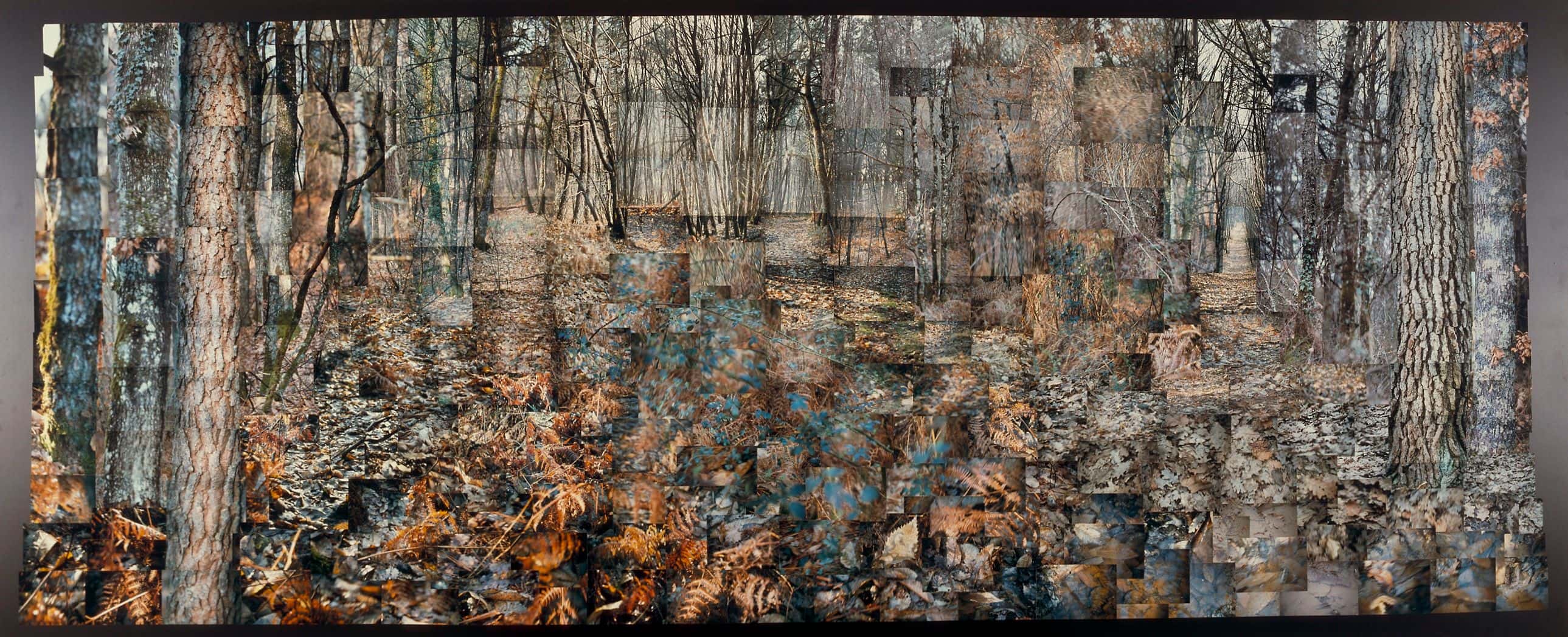 Still Films and Motion Pictures work 16