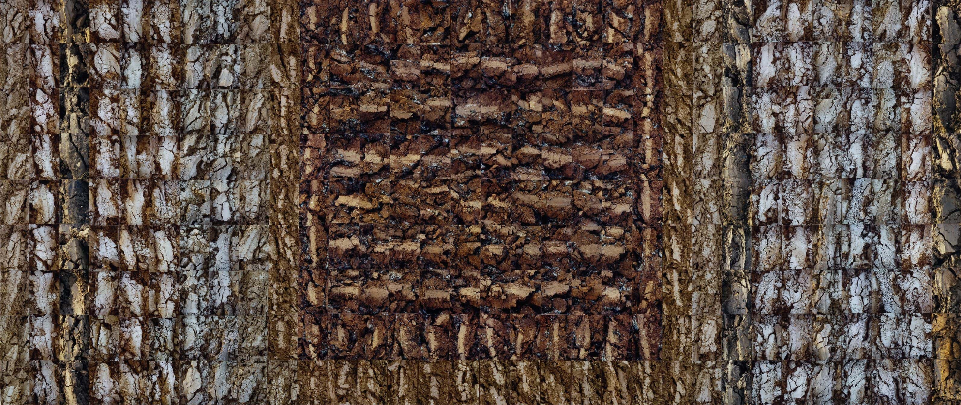 No Horizons; Down To Earth work 7