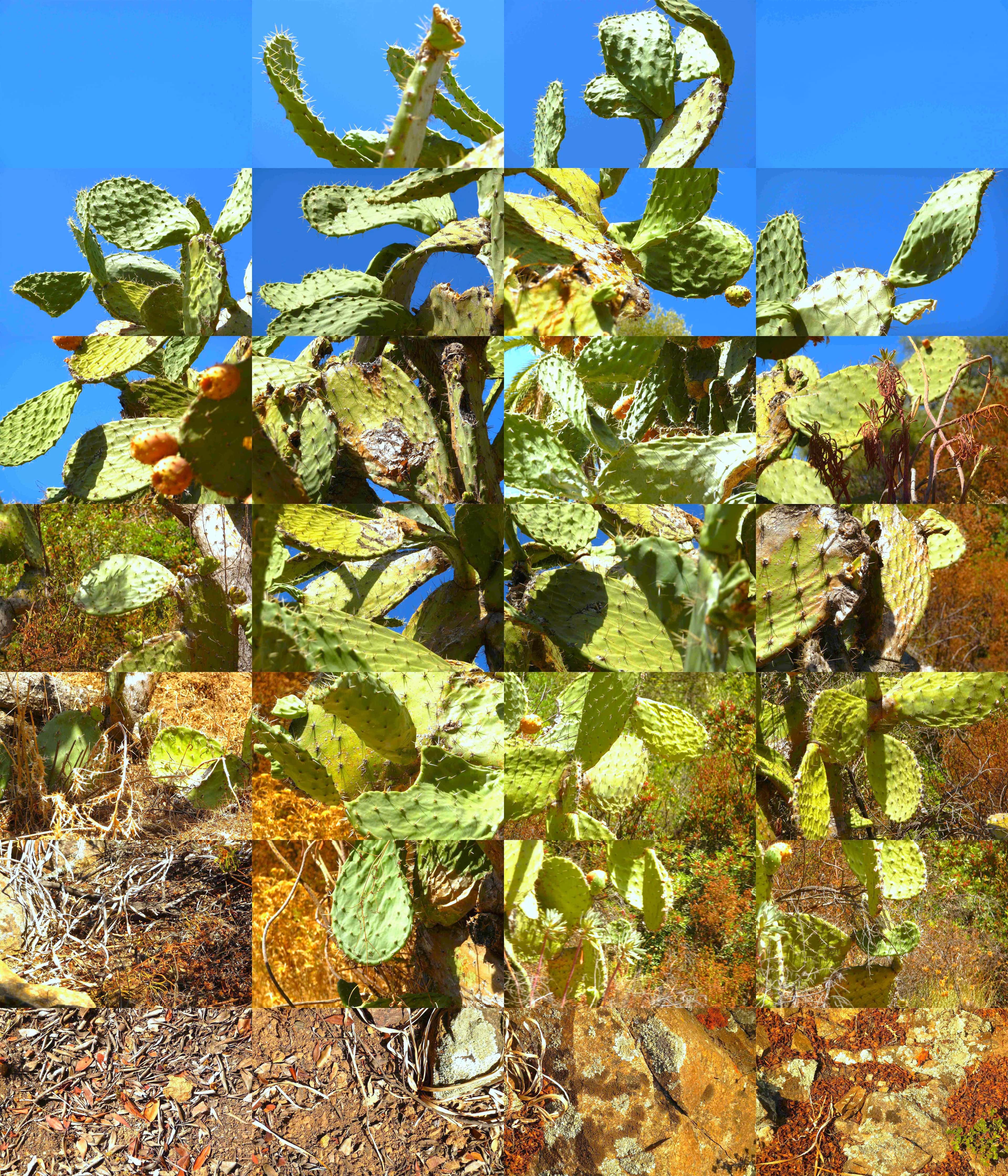 Still Films and Motion Pictures work 26