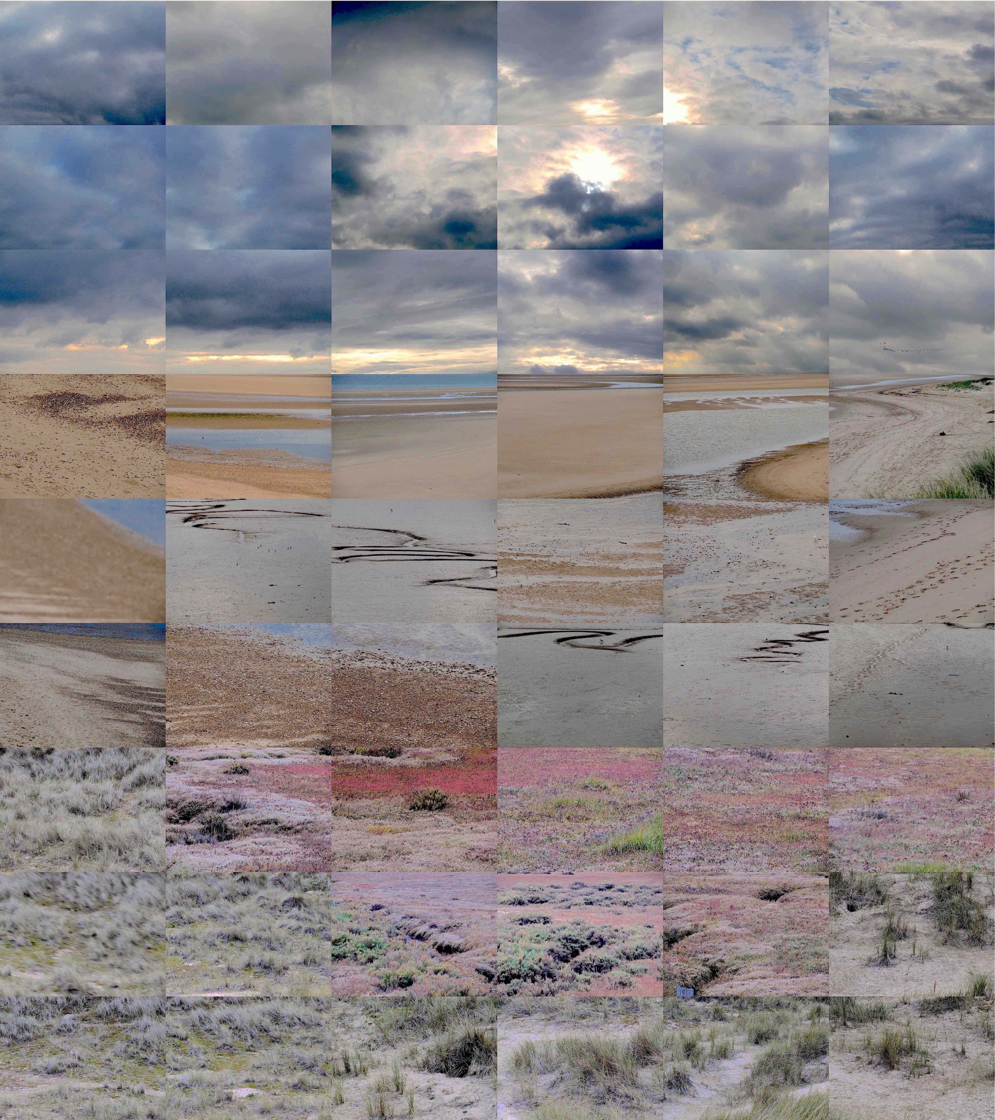 Still Films and Motion Pictures work 31