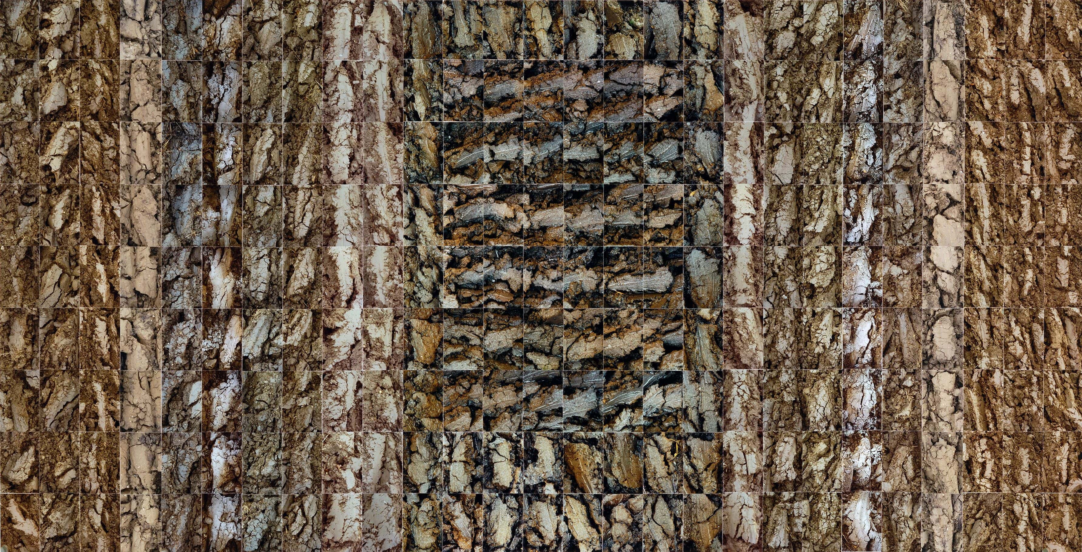 No Horizons; Down To Earth work 9