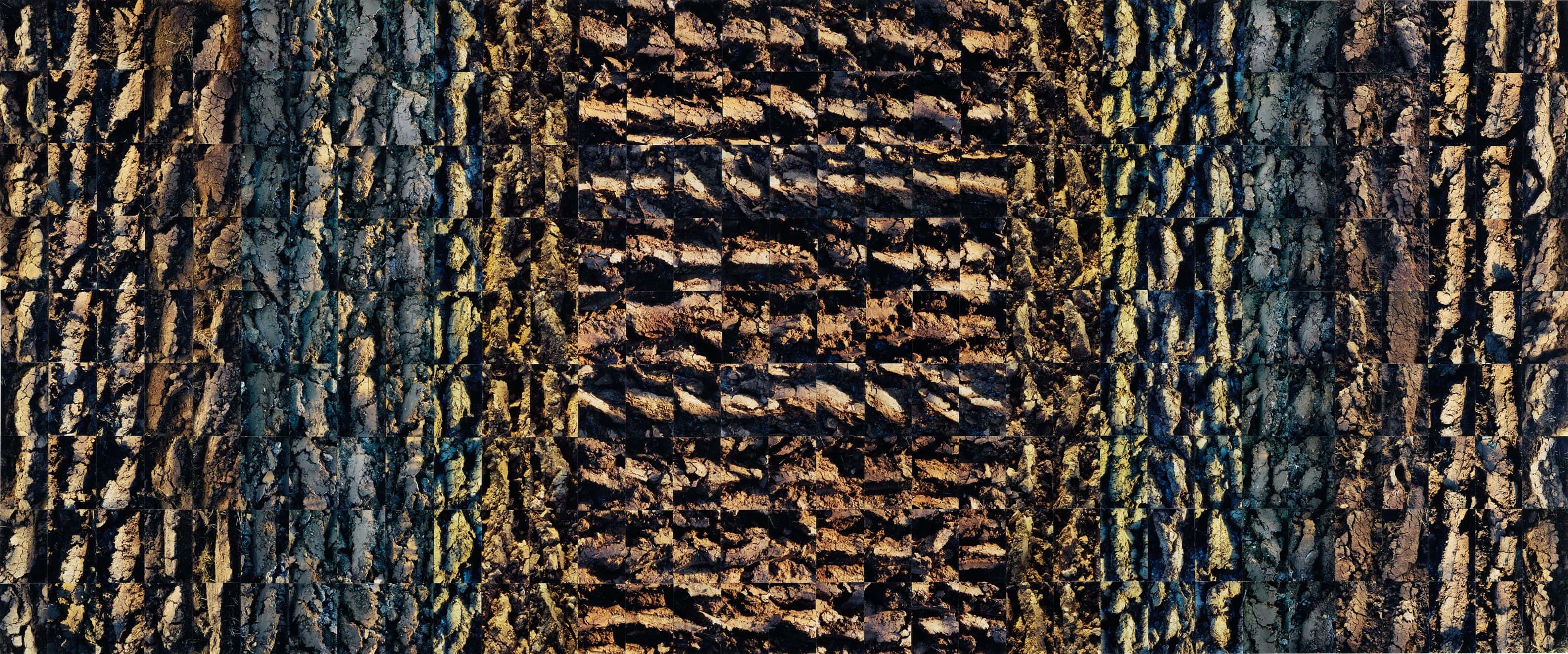 No Horizons; Down To Earth work 11