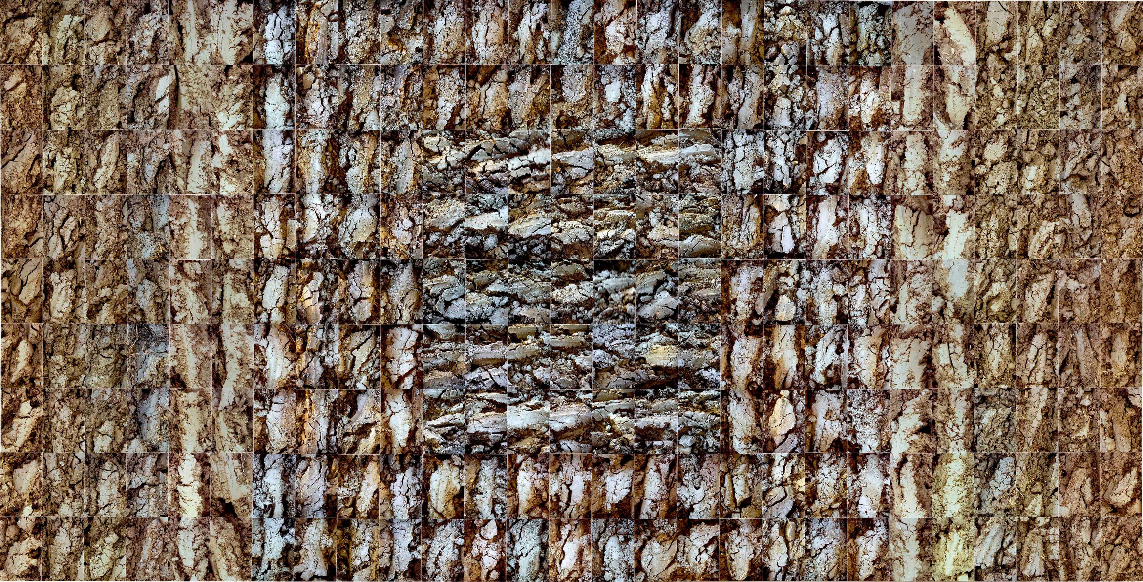 No Horizons; Down To Earth work 8