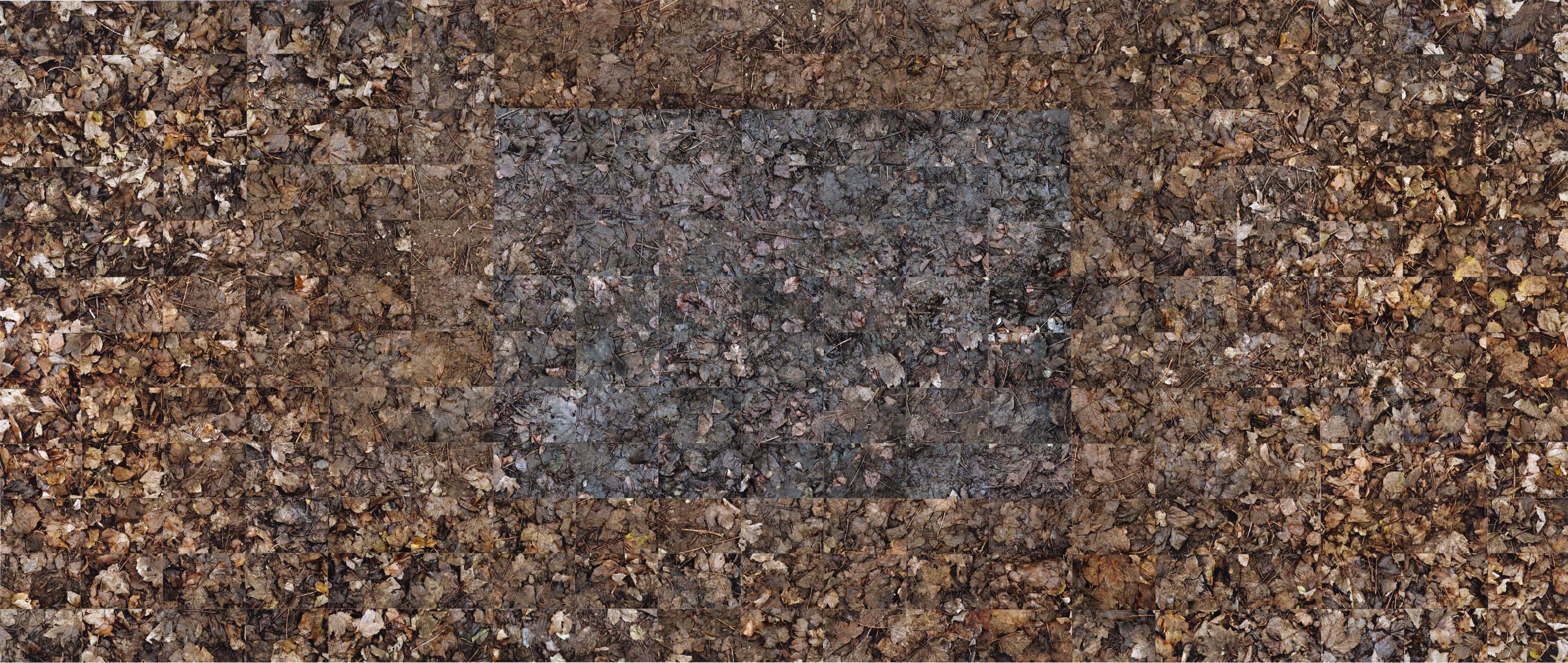 No Horizons; Down To Earth work 14