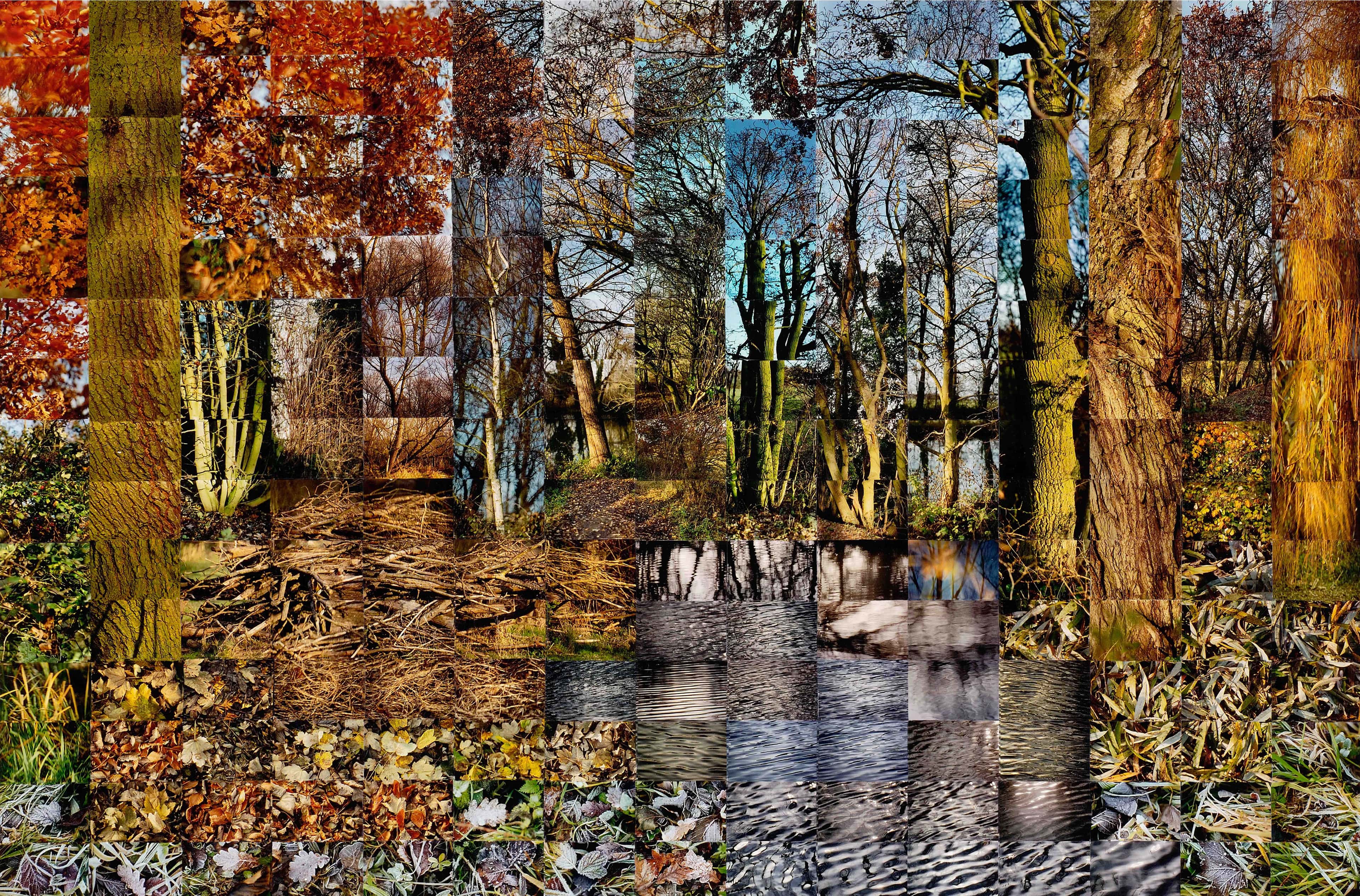 Still Films and Motion Pictures work 23