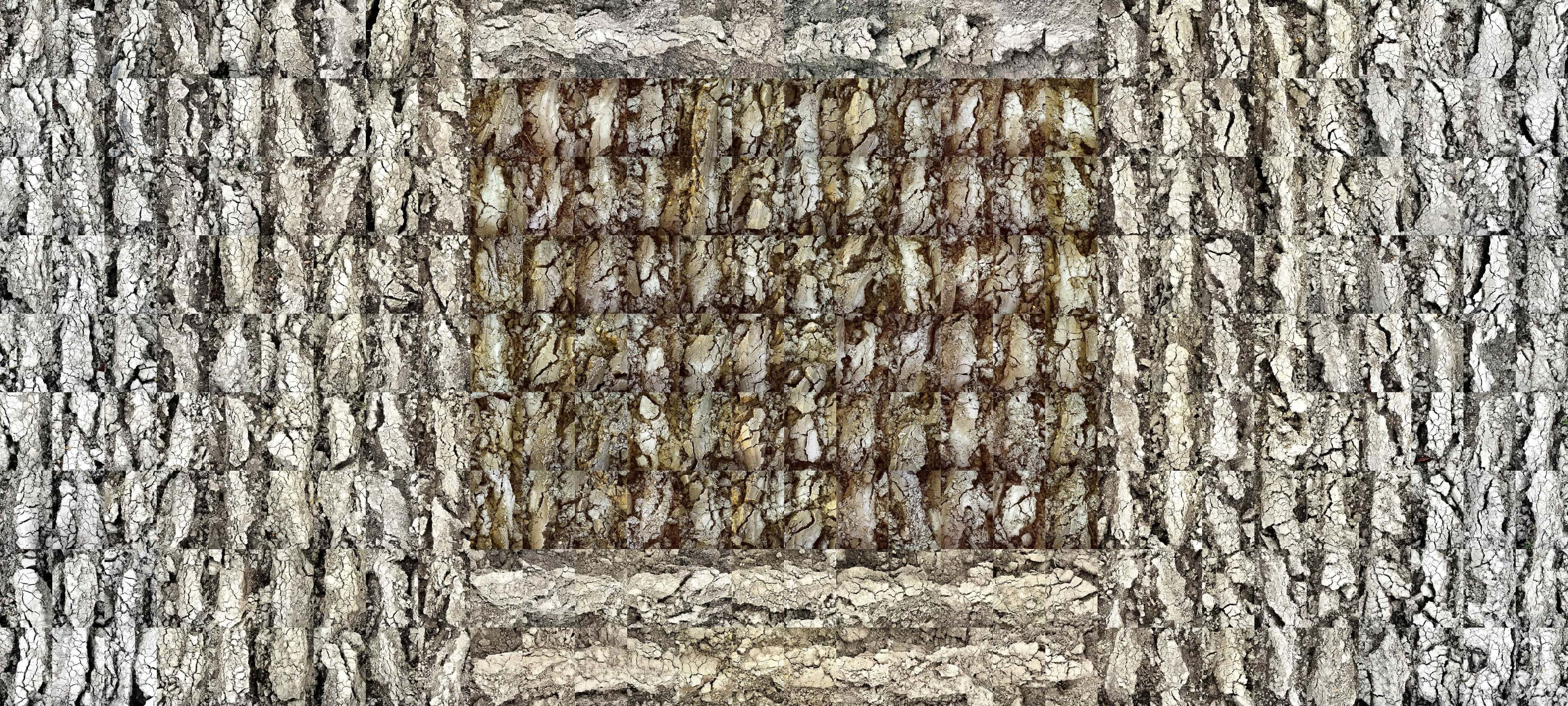 No Horizons; Down To Earth work 13