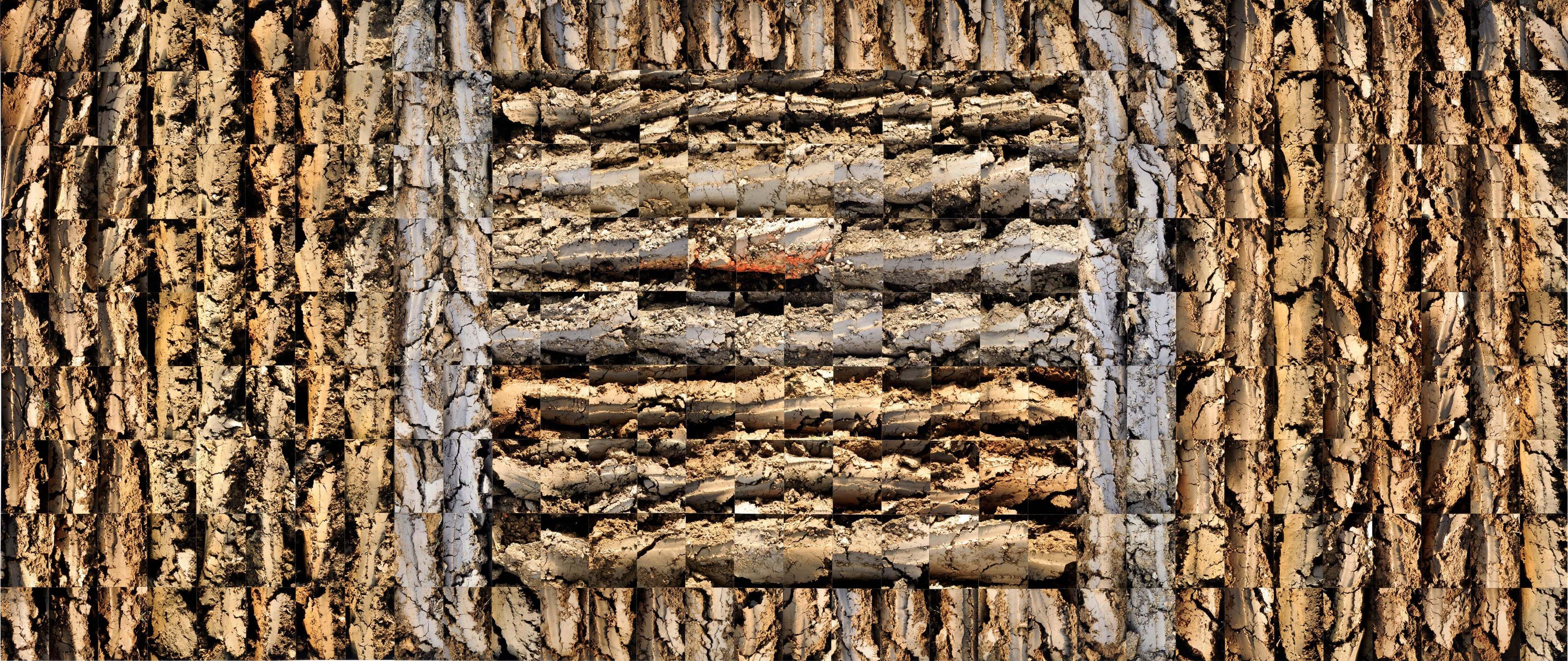 No Horizons; Down To Earth work 10