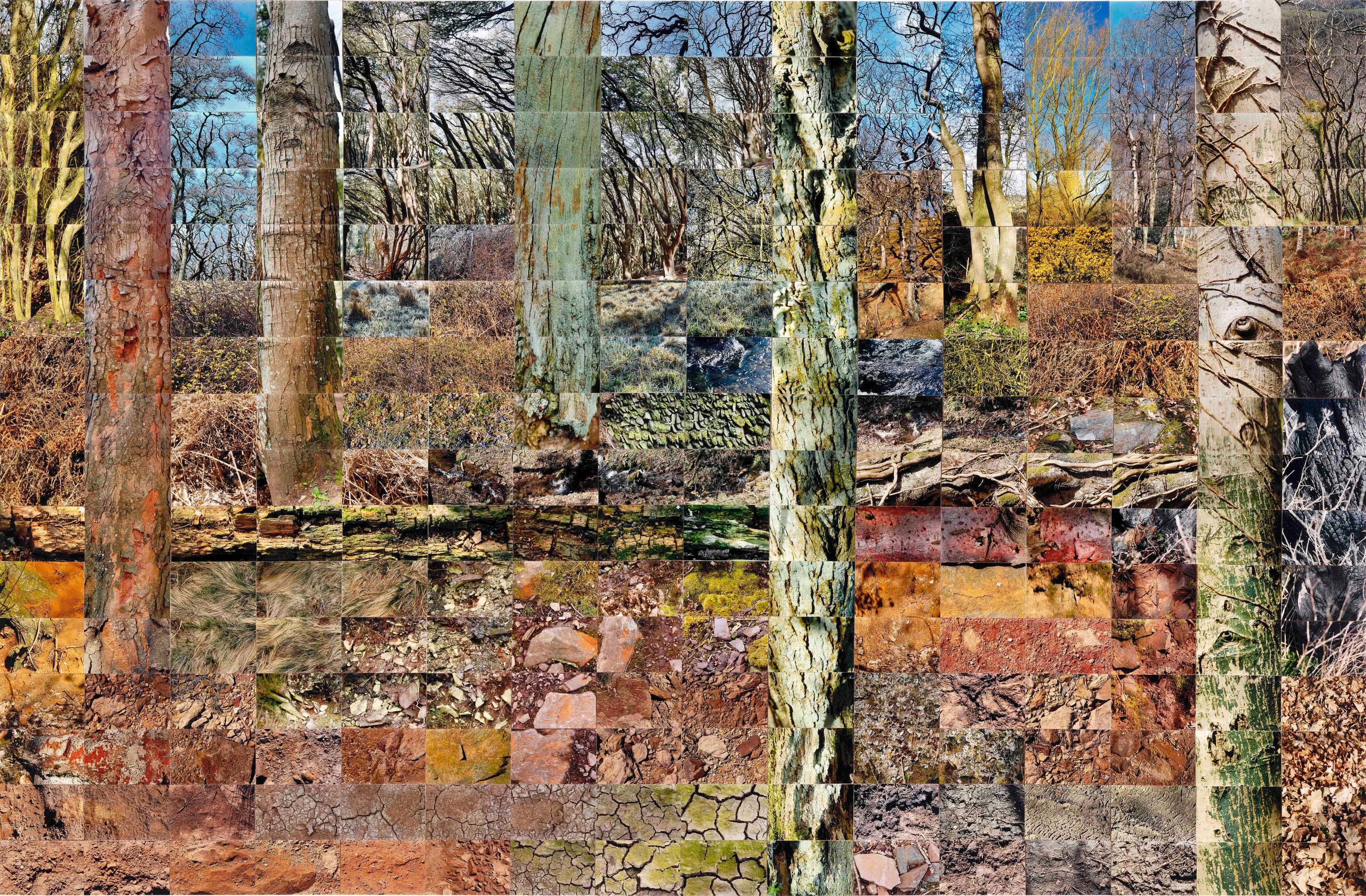 Still Films and Motion Pictures work 17