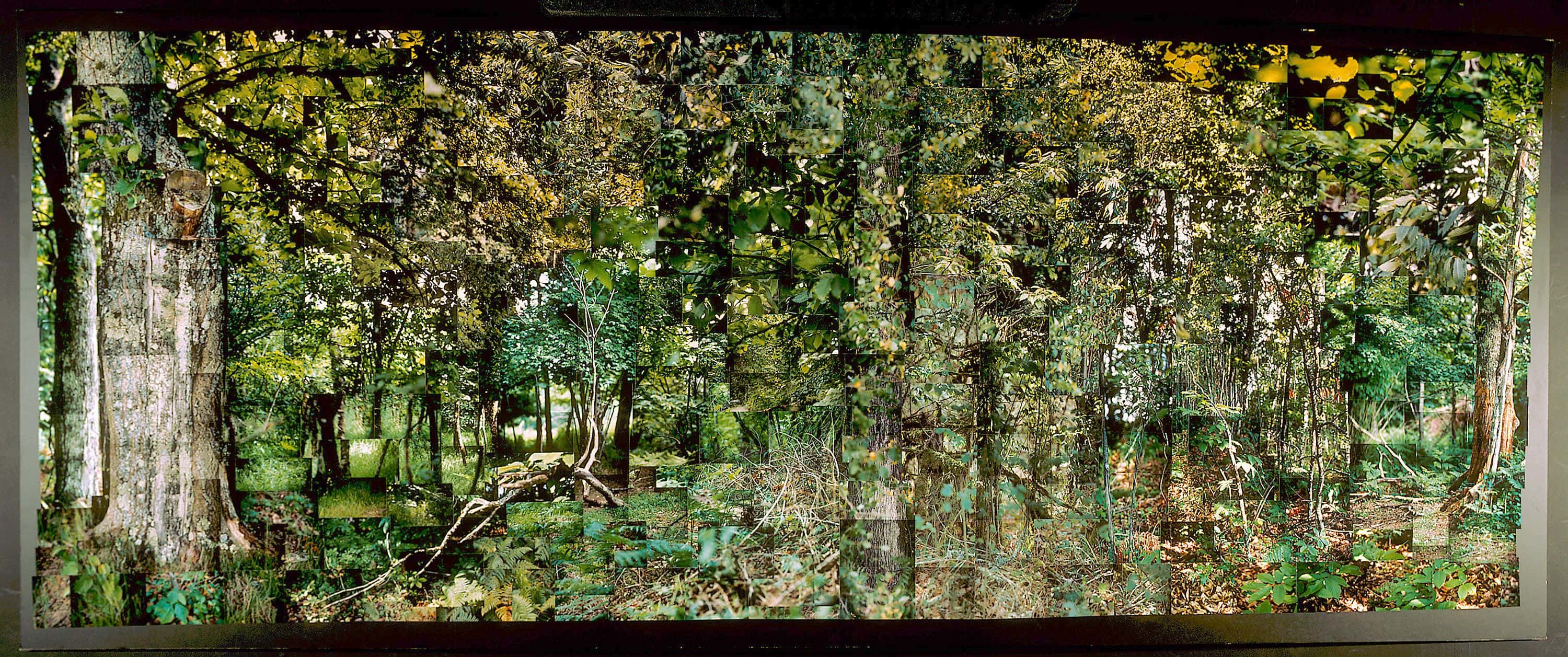 Still Films and Motion Pictures work 14