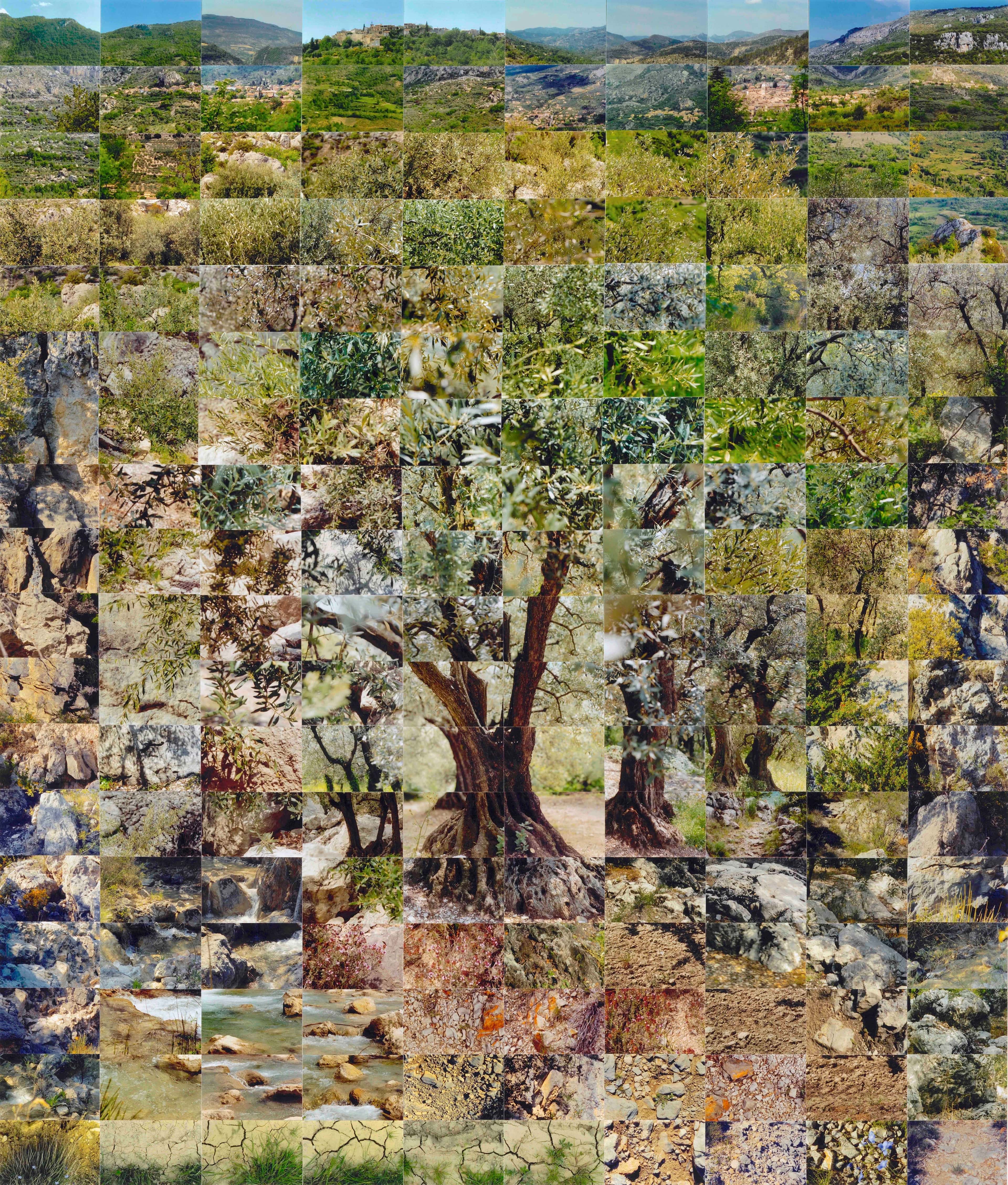 Still Films and Motion Pictures work 28