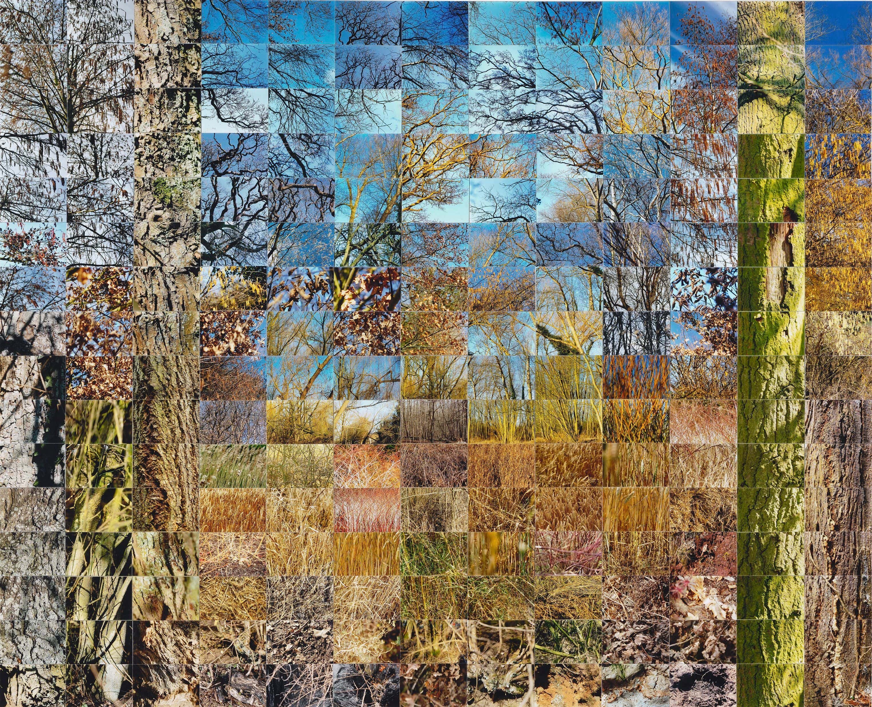 Still Films and Motion Pictures work 22